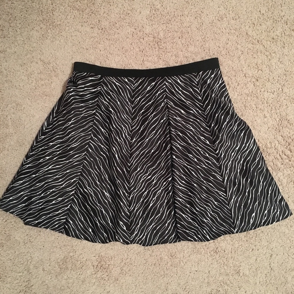 Skirt from the Limited